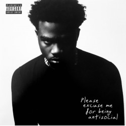 Please Excuse Me For Being Antisocial (2LP)