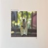 III (LP)