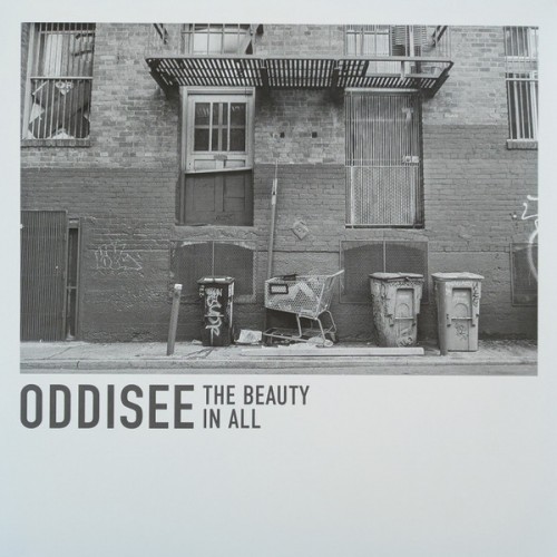 The Beauty In All (LP) purple