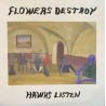 Hawks Listen (LP)