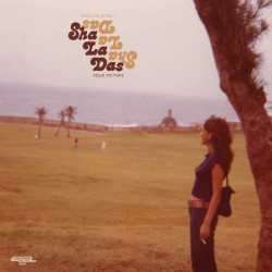 Your Picture (LP) moutarde