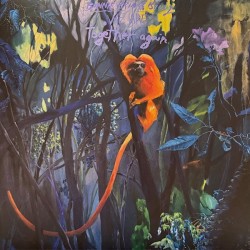 We Are Together Again (LP) clear