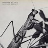Creature Of Habit (LP) couleur