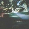 Dreaming Of Spires (LP)