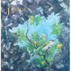 Sightings (LP) green