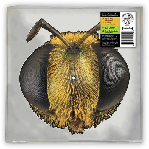 Big Fish Wasp (EP Pict. Disc)