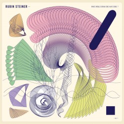 What Would Brian Eno Have Done ? (LP)