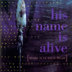 Home Is In Your Head (LP)