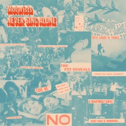 Never Sing Alone (LP)