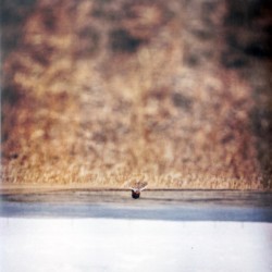 Hands That Bind (LP)