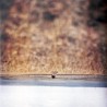 Hands That Bind (LP)