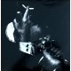 Insurrection (2LP)