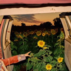 Little Wide Open (LP)