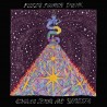 Fuzz's Fourth Dream (2LP)