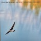 Only Frozen Sky Anyway (LP)