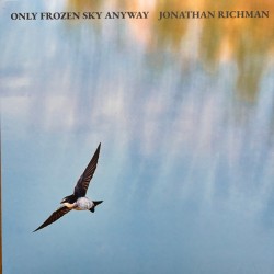 Only Frozen Sky Anyway (LP)