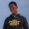 Funny How ? (2LP)