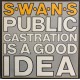 Public Castration Is A Good Idea (2LP)