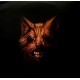The Seer (3LP)
