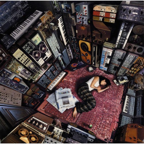 Fast Asleep (2LP)