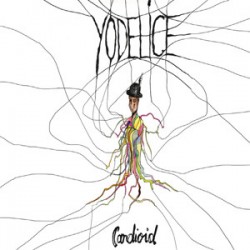 Cardioid (2LP)