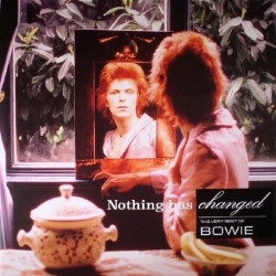 Nothing Has Changed (2LP)