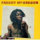 Mr. McGregor (LP) coloured