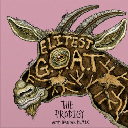 Elitest G.O.A.T Remix (45 Tours) Gold