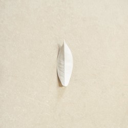 The Complexity Of The Simple (LP)