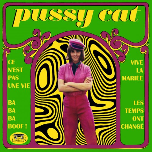 Ce N’est Pas Une Vie (45t)