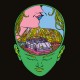 Not Not Pretending (LP)