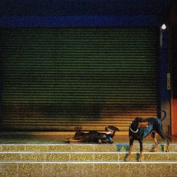 Pure Devotion (LP)