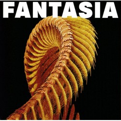 Fantasia (2LP) Orange
