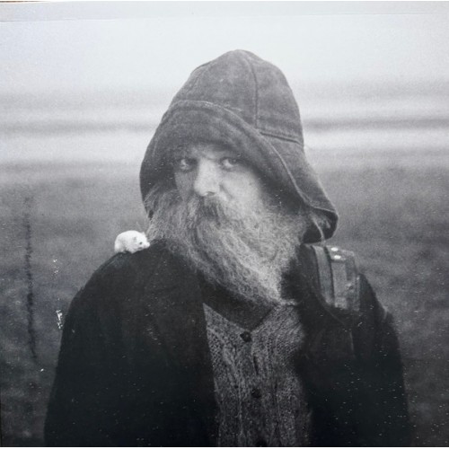 Role Model Hermit (LP)