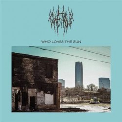Who Loves The Sun (LP)