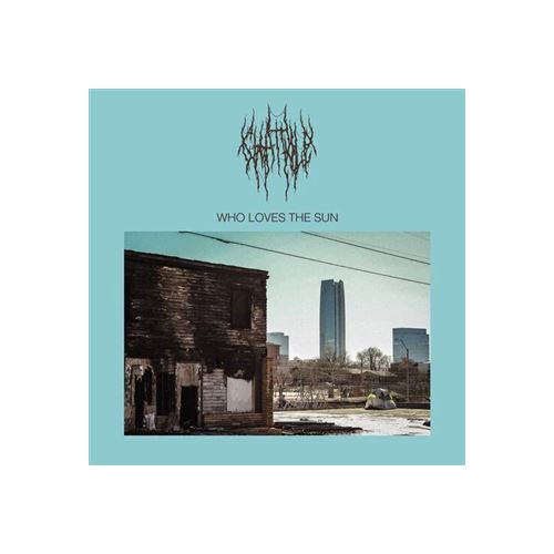 Who Loves The Sun (LP)