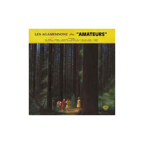 Amateurs (LP) yellow