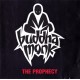 The Prophecy (2LP)