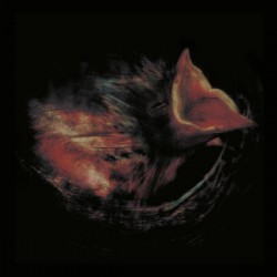 Nobody's Coming To Save You (LP) couleur