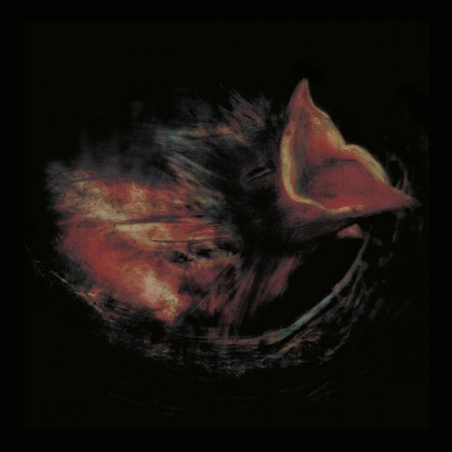 Nobody's Coming To Save You (LP) couleur