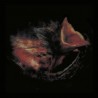 Nobody's Coming To Save You (LP) couleur