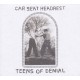 Teens Of Denial (2LP) repress