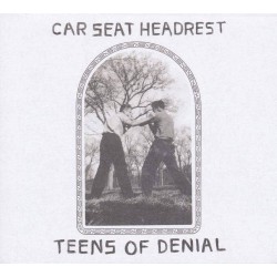 Teens Of Denial (2LP) repress