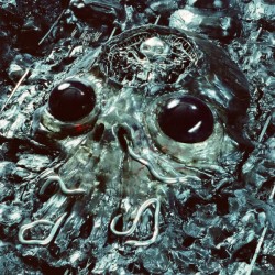 Alien Metal (LP) couleur