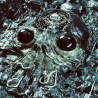 Alien Metal (LP) couleur