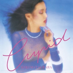 Cupid (LP) rose