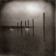Conference Of The Birds (LP)